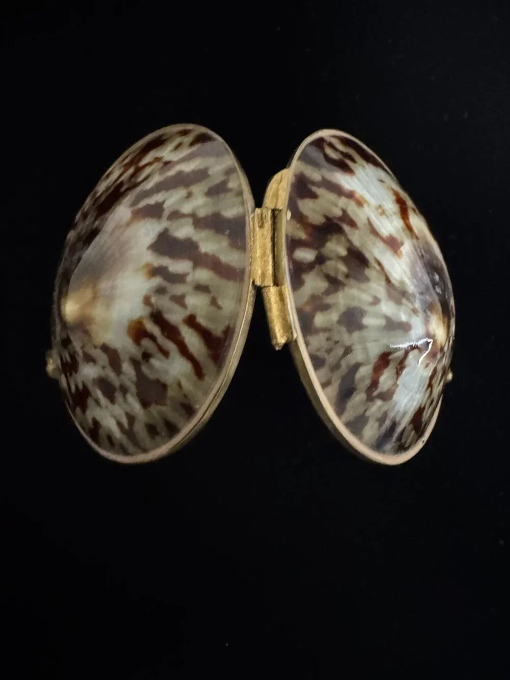 Shell trinket box with brass rim
